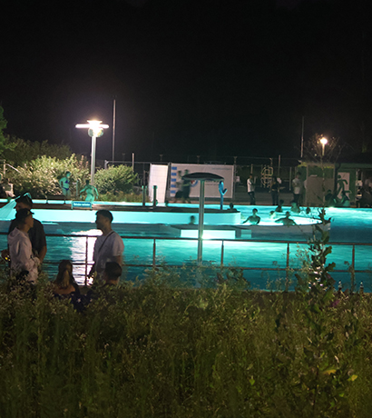 waldschwimmbad